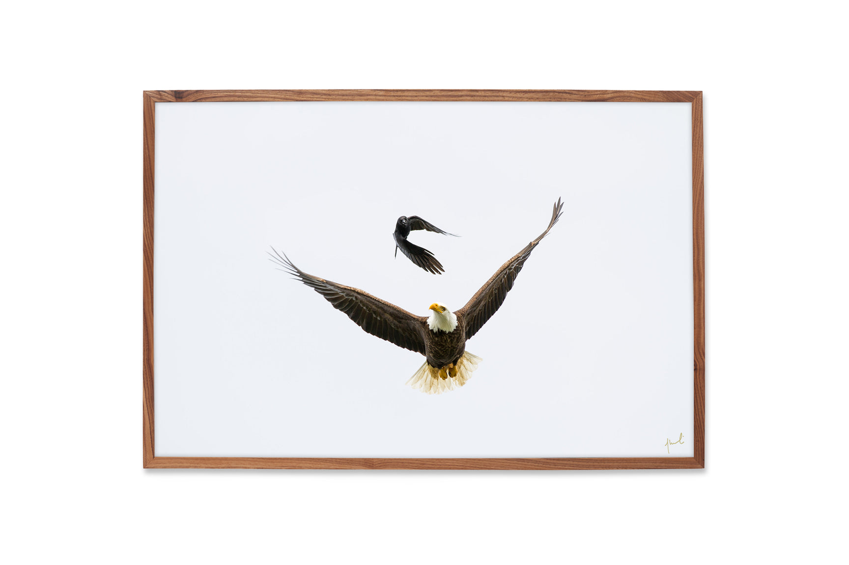 EAGLE CROW – JEREMY KORESKI GALLERY